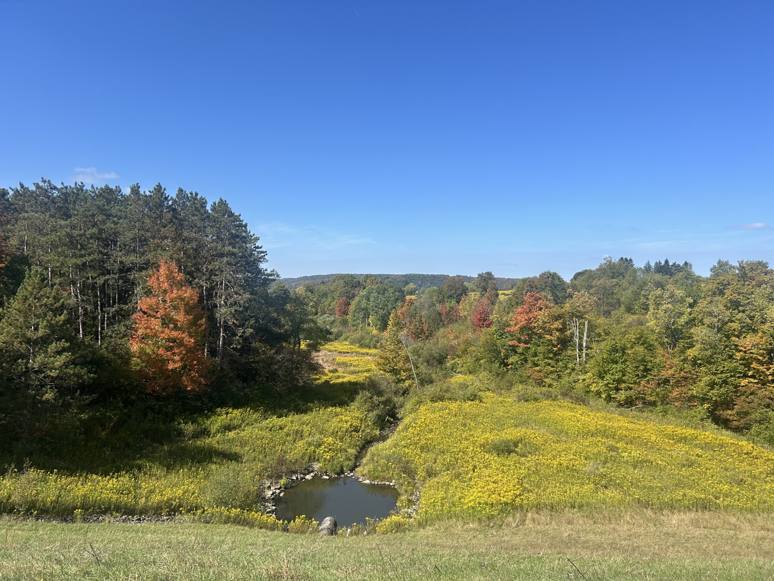 Principal Spillway Outlet at Ischua Flood Control Structure 4