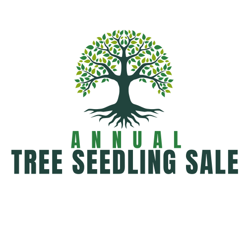 Tree Sale Logo