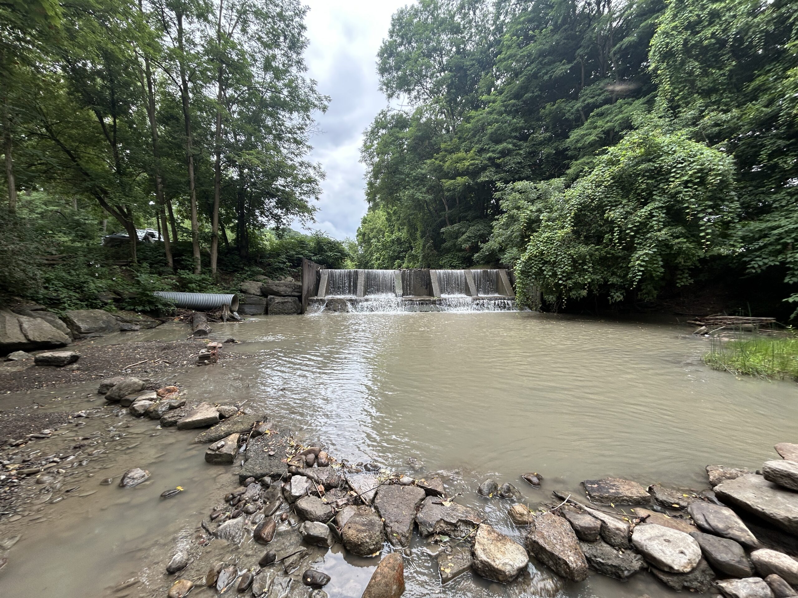 BEFORE of Thatcher Brook in Gowanda, NY